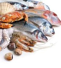 Сертификация рыбы и морепродуктов